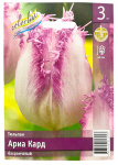 Тюльпан АРИА КАРД бахромчатый