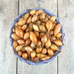 лук Севок Стурон 15-22 Чувашия