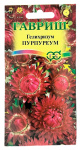 Гелихризум бессмертник ПУРПУРЕУМ ГАВРИШ