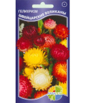 Гелихризум Швейцарские великаны (свис гиантс)