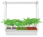 Подставка металлическая для светильника с ящиком 12 стаканчиков цветные UNIEL