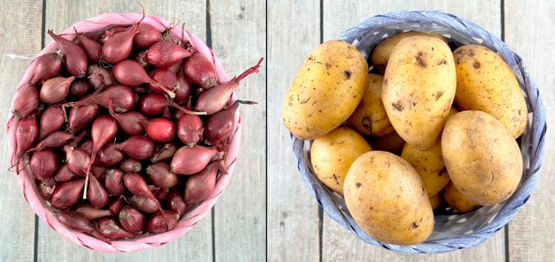 ЛУК СЕВОК, СЕМЕННОЙ КАРТОФЕЛЬ