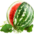 Арбузы