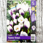 Крокус ПРИНС КЛАУС ботанический