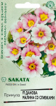 Примула Данова малина со сливками F1 бесстебельн. 5шт Саката