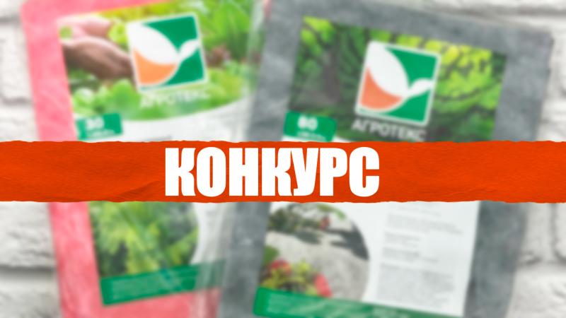 КОНКУРС в ВК