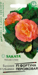 Бегония Фортуна Персиковая F1 гранул. 4шт. пробирка