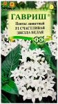 Пентас ланцетный F1 СЧАСТЛИВАЯ ЗВЕЗДА БЕЛАЯ ГАВРИШ