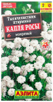 Тысячелистник птармика КАПЛЯ РОСЫ МАХРОВЫЙ АЭЛИТА