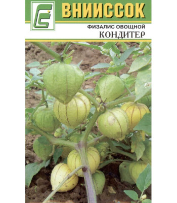 Физалис овощной Кондитер