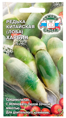 Редька китайская лоба ХАРБИН СеДеК