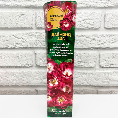 Роза бабилон ДАЙМОНД АЙС