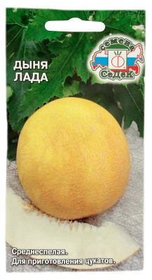 Дыня Лада СеДеК