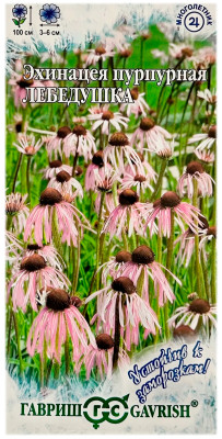 Эхинацея пурпурная ЛЕБЕДУШКА ГАВРИШ