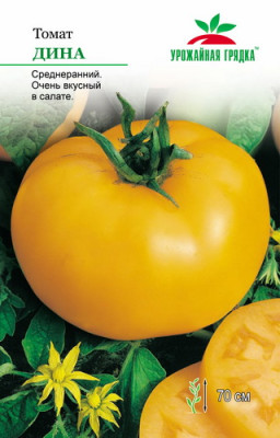 Томат Дина УГ