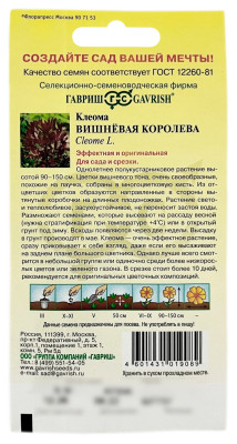 Клеома Вишневая королева ГАВРИШ описание