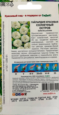 Гайлардия Солнечный Остров (вид красивая, кремово-белая)