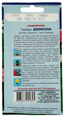 Гербера ДЖЕМСОНА комнатное АКВАРЕЛЬ описание