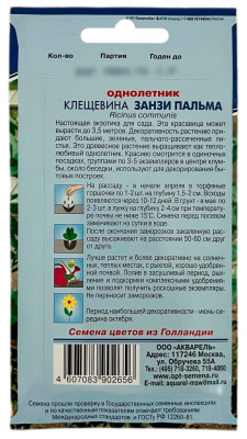 Клещевина ЗАНЗИ ПАЛЬМА АКВАРЕЛЬ описание