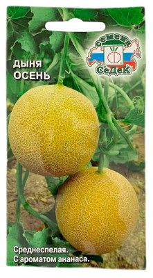Дыня Осень СеДеК