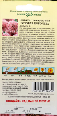 Скабиоза темнопурпурная Розовая королева махр. 6шт