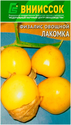 Физалис овощной ЛАКОМКА ВНИИССОК