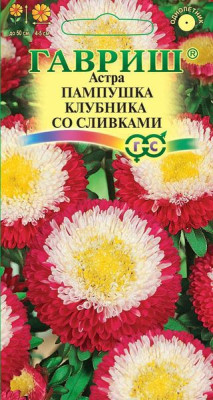 Астра Пампушка клубника со сливками 0,3г (помпонная)