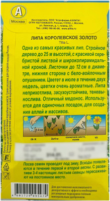 Липа КОРОЛЕВСКОЕ ЗОЛОТО АЭЛИТА описание