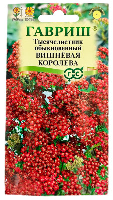 Тысячелистник обыкновенный ВИШНЁВАЯ КОРОЛЕВА ГАВРИШ