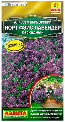 Алиссум приморский НОРТ ФЭЙС ЛАВЕНДЕР КАСКАДНЫЙ АЭЛИТА