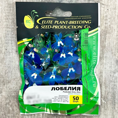 ЛОБЕЛИЯ ривьера блу айз ГАВРИШ