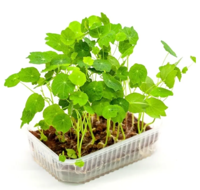 Коврик джутовый 11*16*1см