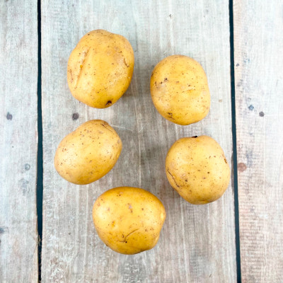 Картофель семенной Коломба суперранний светло-желтый