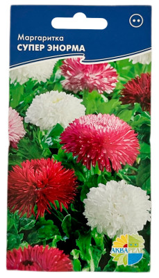 Маргаритка СУПЕР ЭНОРМА АКВАРЕЛЬ