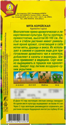 Мята КОРЕЙСКАЯ АЭЛИТА описание