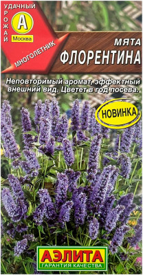 Мята ФЛОРЕНТИНА АЭЛИТА