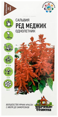Сальвия РЕД МЕДЖИК ГАВРИШ