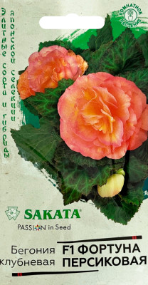 Бегония Фортуна Персиковая F1 гранул. 4шт. пробирка