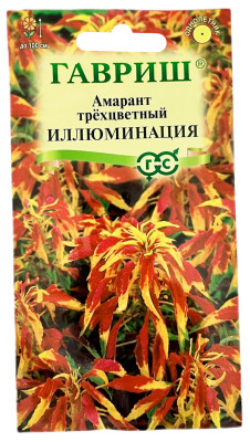 Амарант метельчатый трехцветный Иллюминация ГАВРИШ