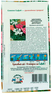 Цикламен Джордан СеДеК описание