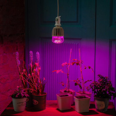 Лампа для растений Био М80-20W-Е27 UNIEL LED-M80-20W/SP/E27/CL ALS55WH
