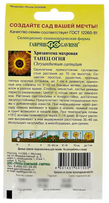 Хризантема Танец огня ГАВРИШ описание