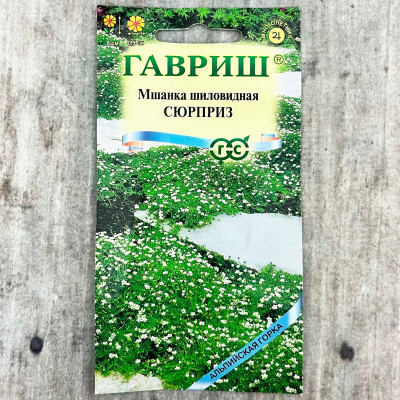 Мшанка шиловидная СЮРПРИЗ ГАВРИШ (2)