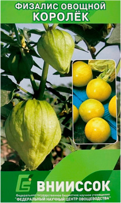 Физалис овощной КОРОЛЁК ВНИИССОК