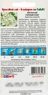 Молочай Горный снег СеДеК описание
