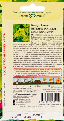 Колеус Визард Голден 4шт Элитная клумба