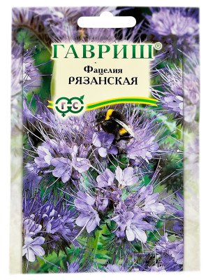 Фацелия Рязанская ГАВРИШ