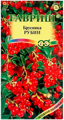 Брусника РУБИН ГАВРИШ