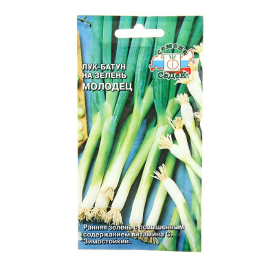 Лук батун Молодец 