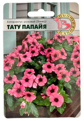 Катарантус розовый винка ТАТУ ПАПАЙЯ БИОТЕХНИКА